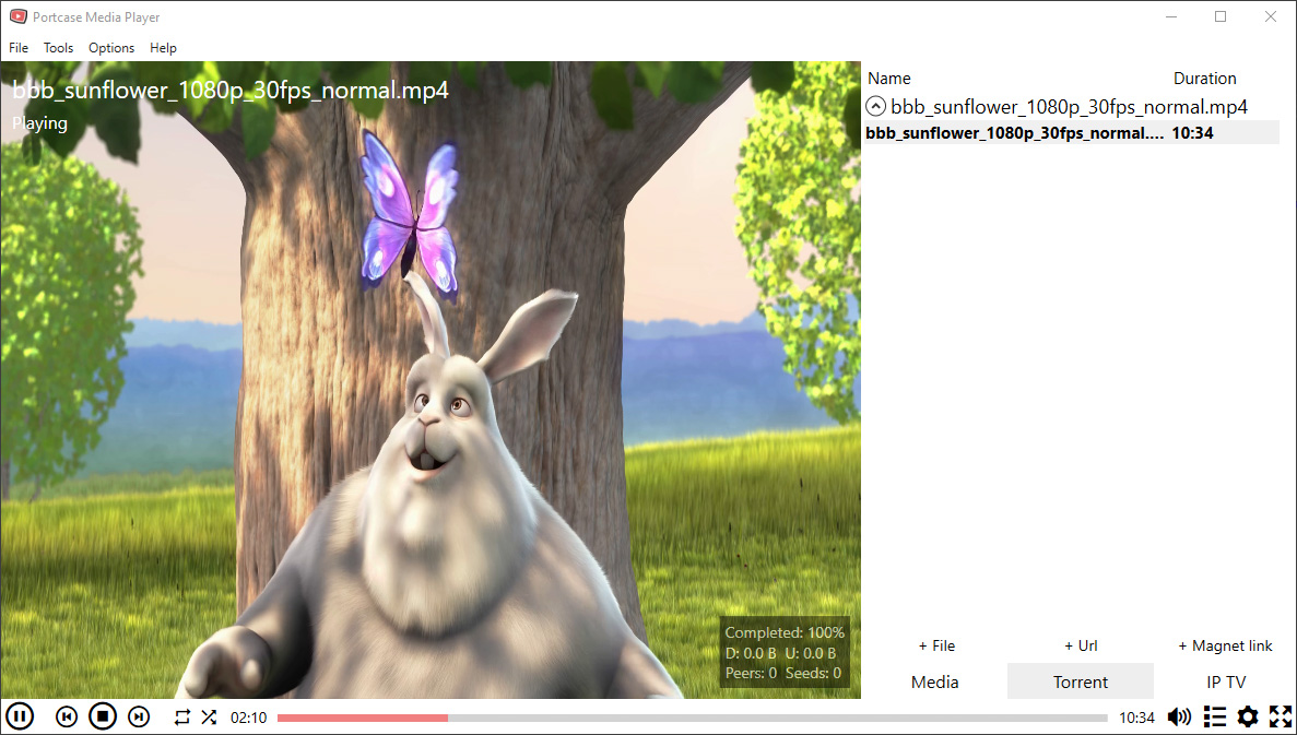 Play Torrent files and Magnet links